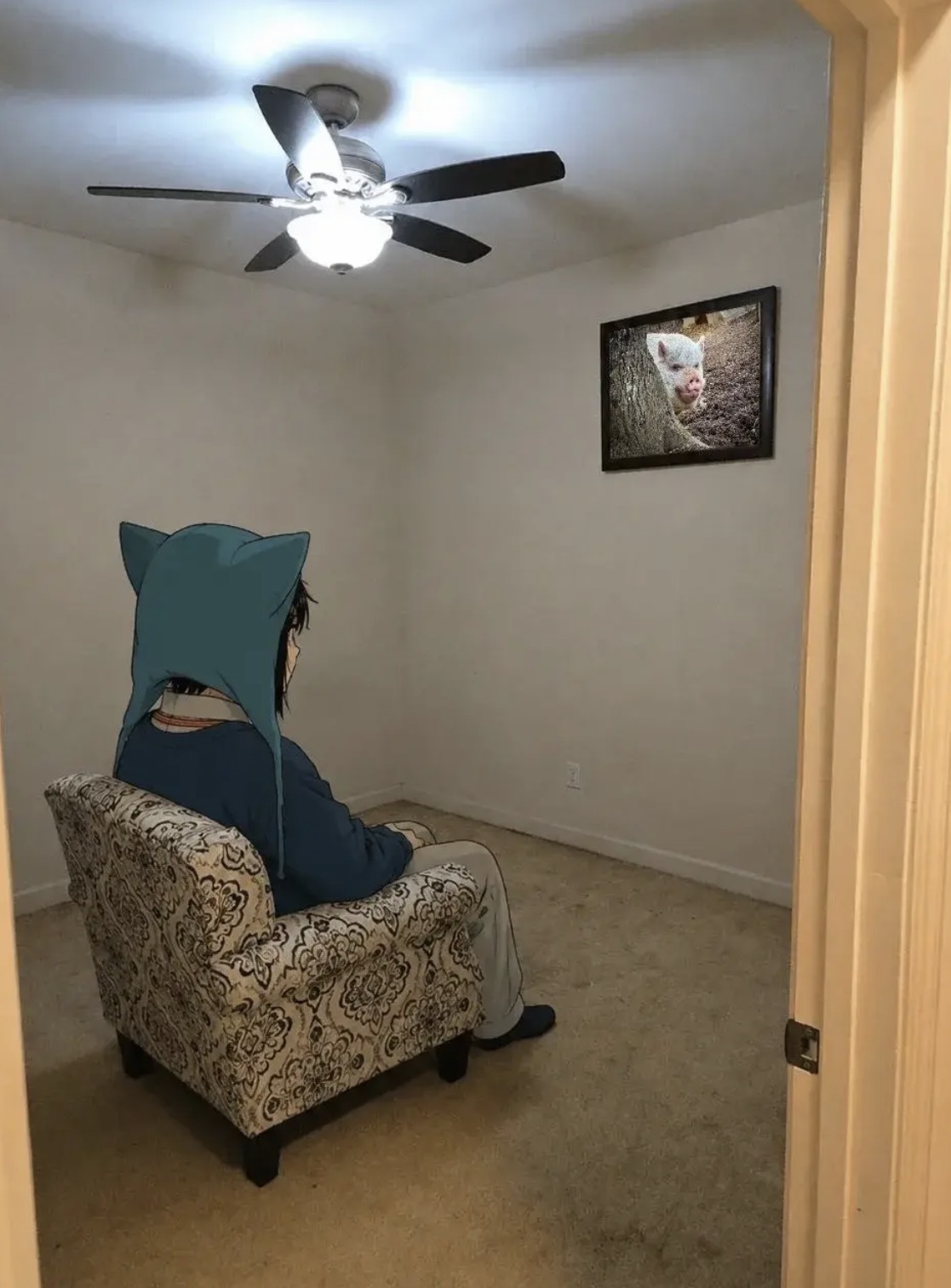 Posted media