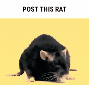 Posted media