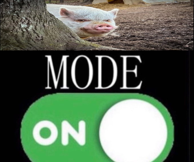 Posted media