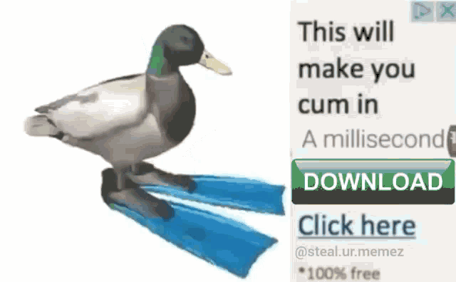 Posted media